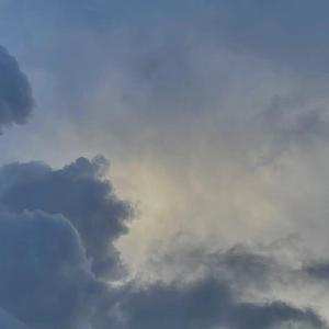 黑人牲交视频免费播放
